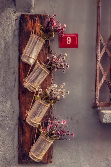 Potted plants mounted on wood with number 9 sign representing organic growth and lifestyle aesthetics